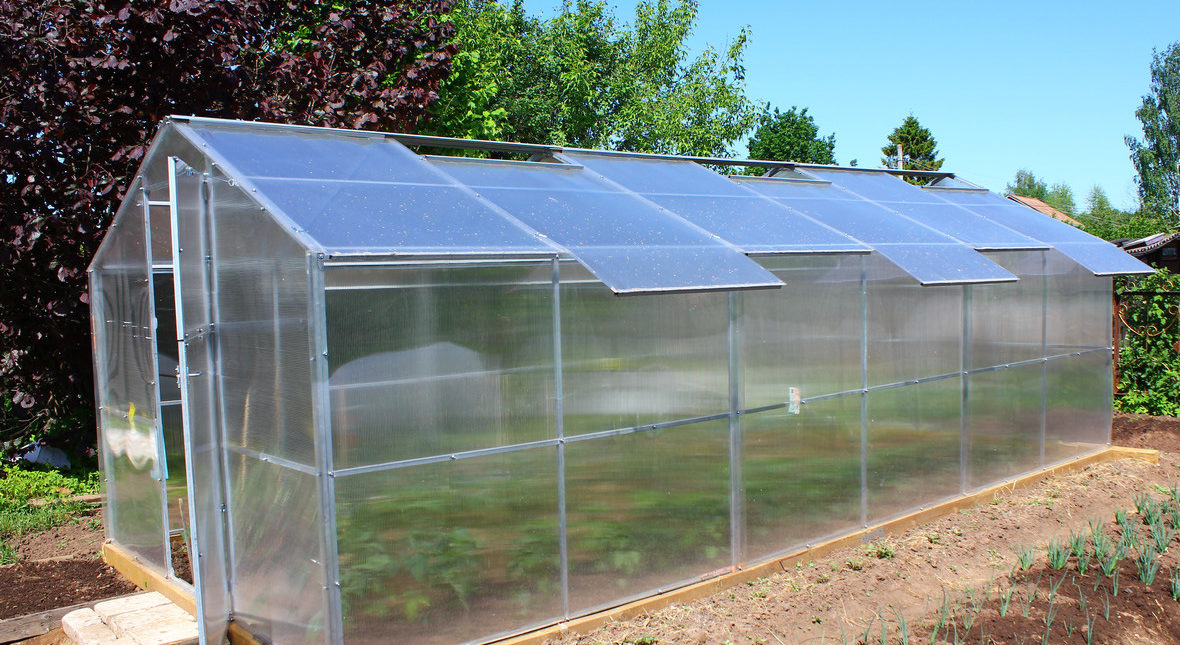 Why Polycarbonate is Perfect for Your Greenhouse